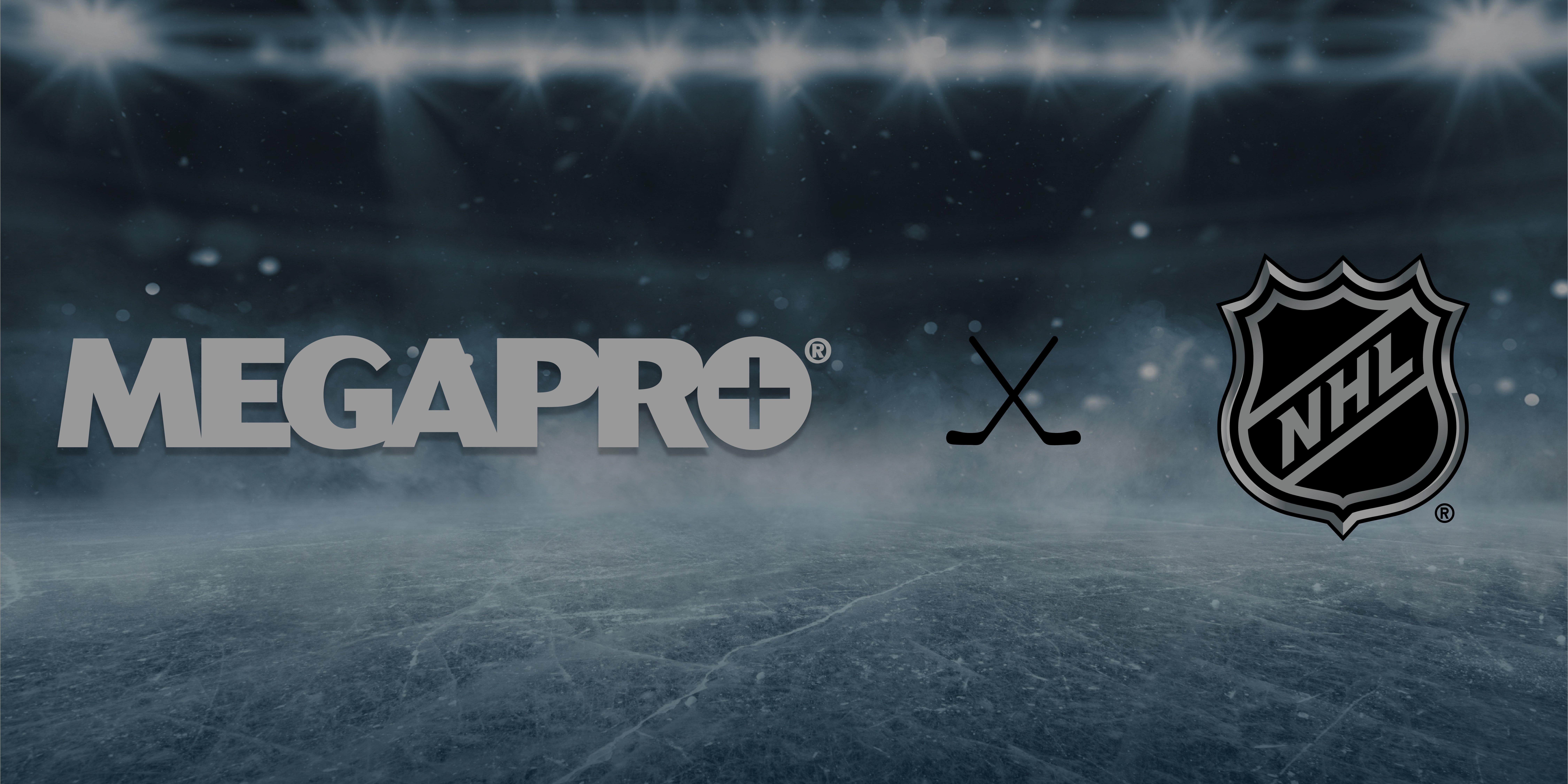 NHL-Version 3_Desktop_Banner-1
