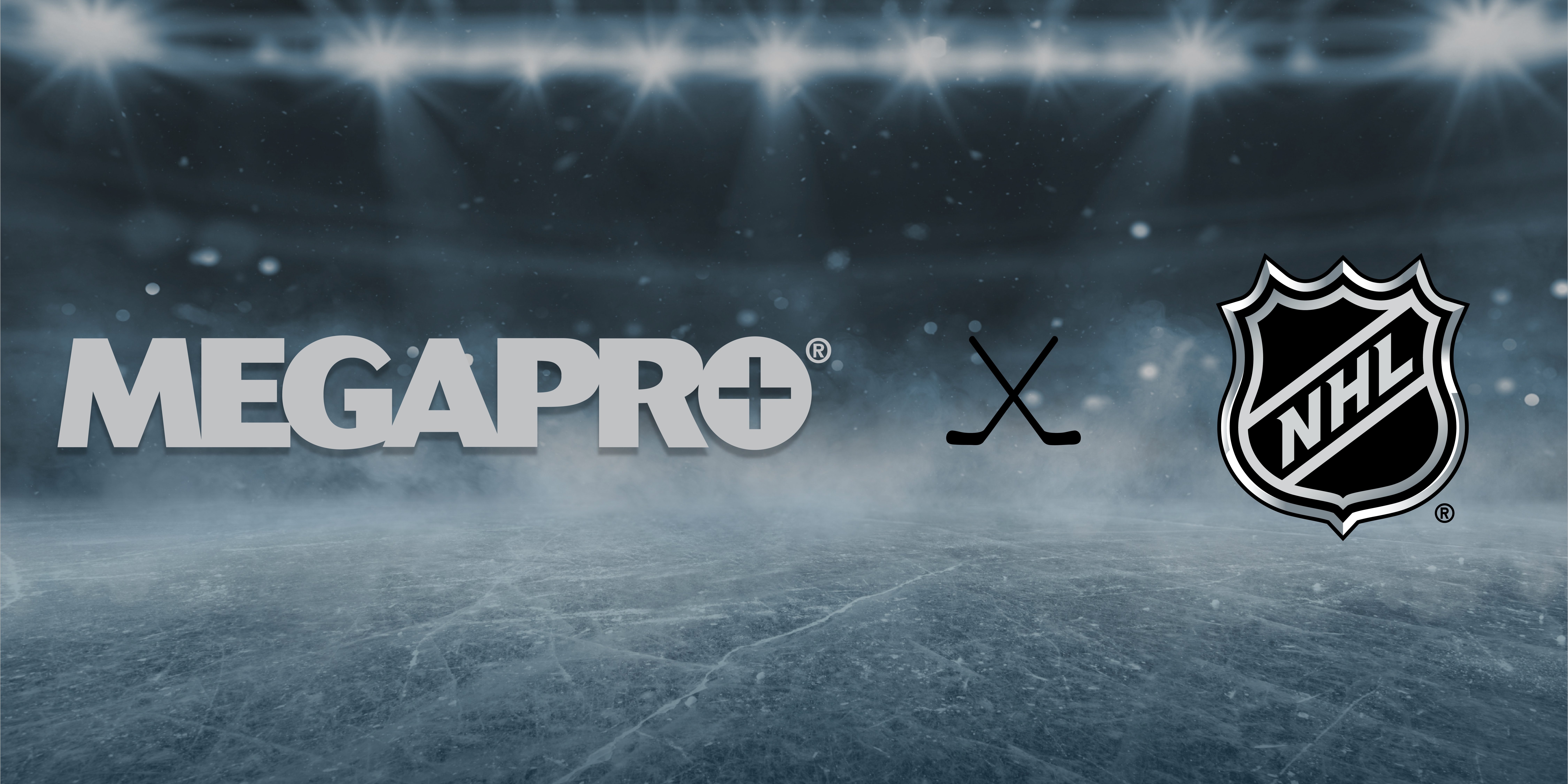 NHL-Version 3_Desktop_Banner-3